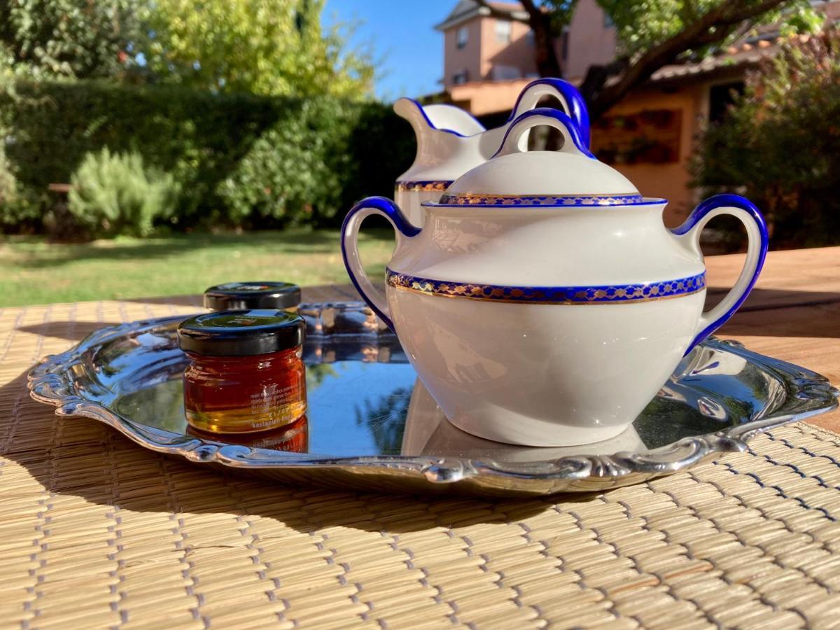 Holiday Vibes بيزا المظهر الخارجي الصورة